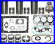 Motorreparatursatz-15-Pieces-Ihc-Mc-Cormick-DLD3-DED3-D320-D322-Motor-D99-3-01-kazr