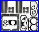 Motorreparatursatz-4-Pieces-Ihc-Mc-Cormick-DLD2-D212-D214-D215-Moteur-D66-2-01-pnj